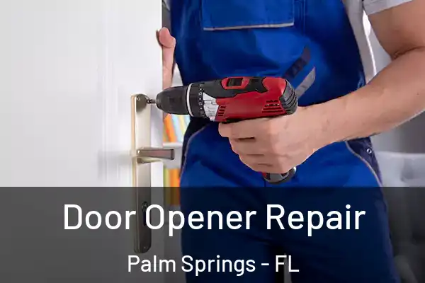  Door Opener Repair Palm Springs - FL