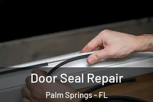 Door Seal Repair Palm Springs - FL