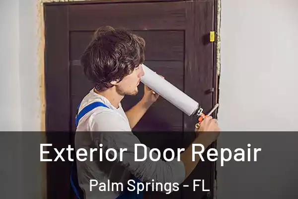  Exterior Door Repair Palm Springs - FL